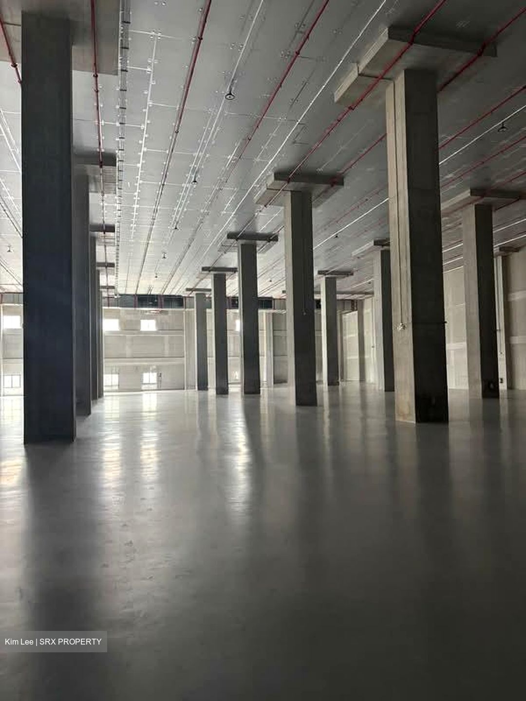 Expo Drive (D16), Warehouse #563349291